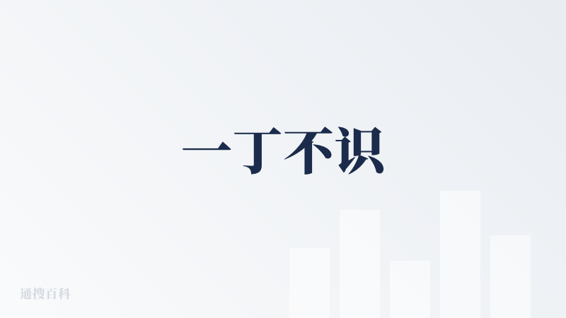 一丁不识
