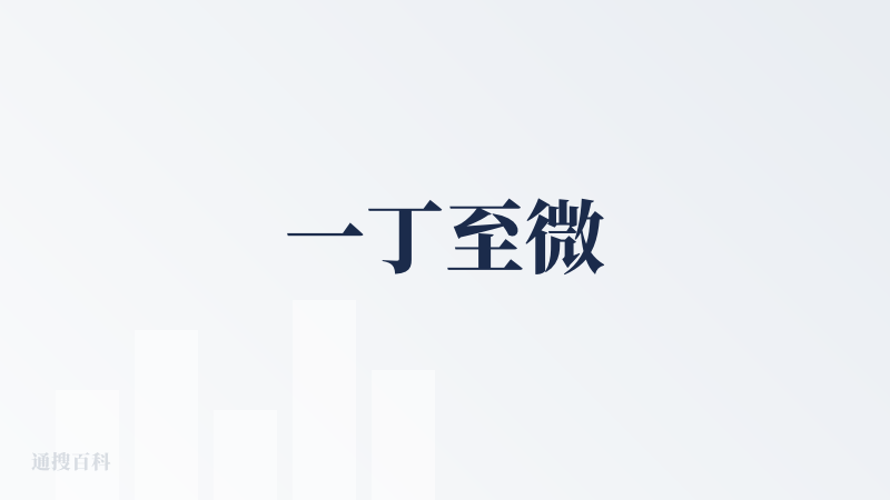 一丁至微