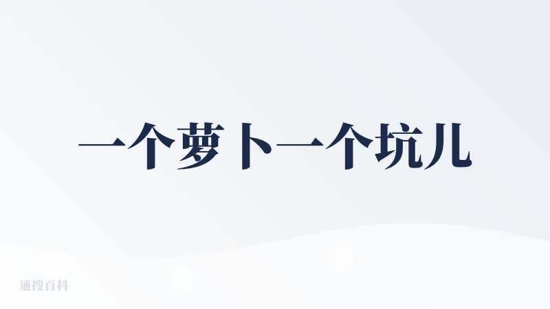 一个萝卜一个坑儿