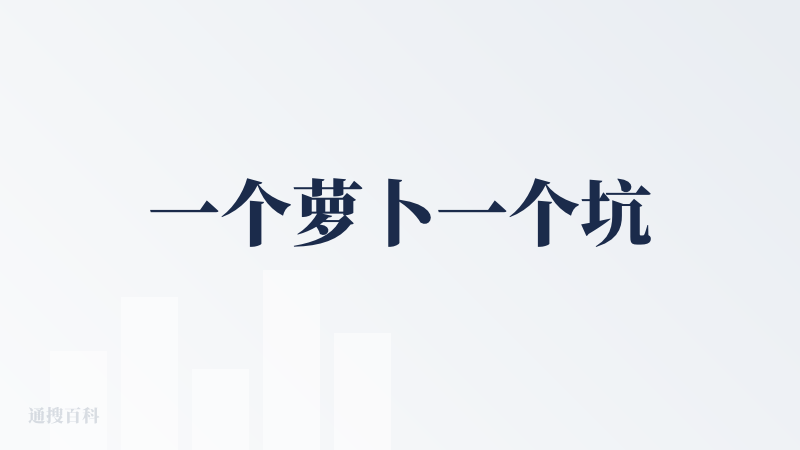 一个萝卜一个坑