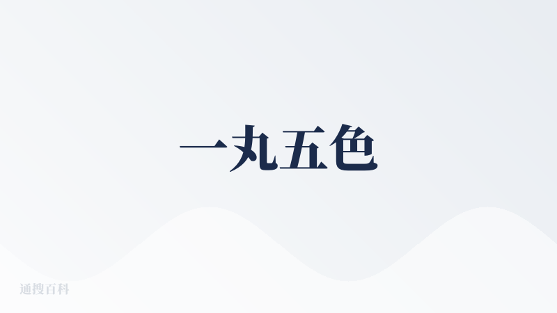 一丸五色
