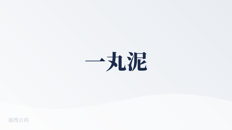 一丸泥