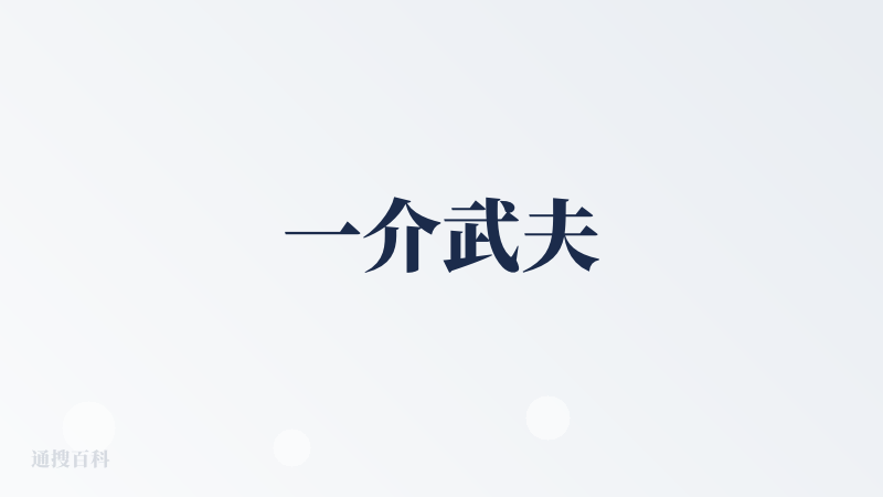 一介武夫