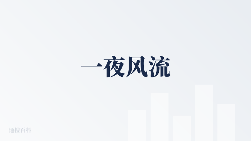 一夜风流