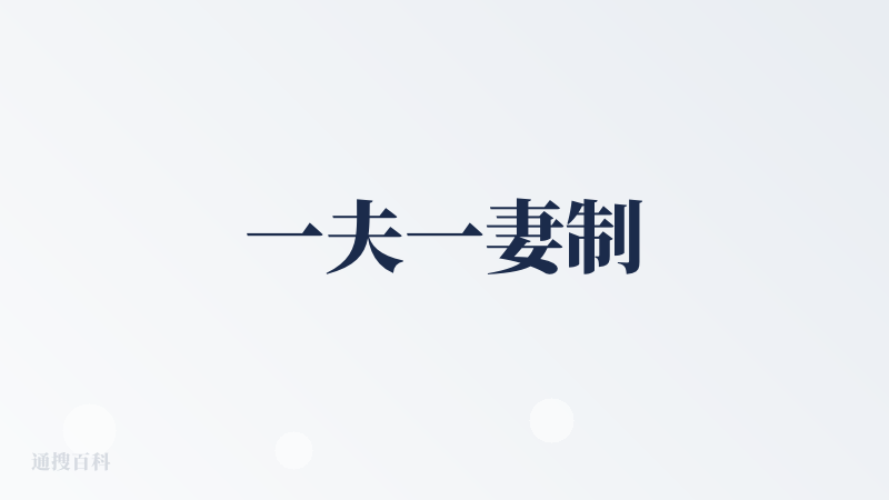 一夫一妻制