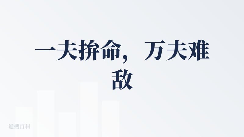 一夫拚命，万夫难敌