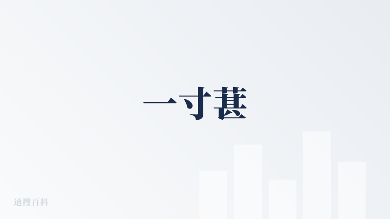 一寸葚