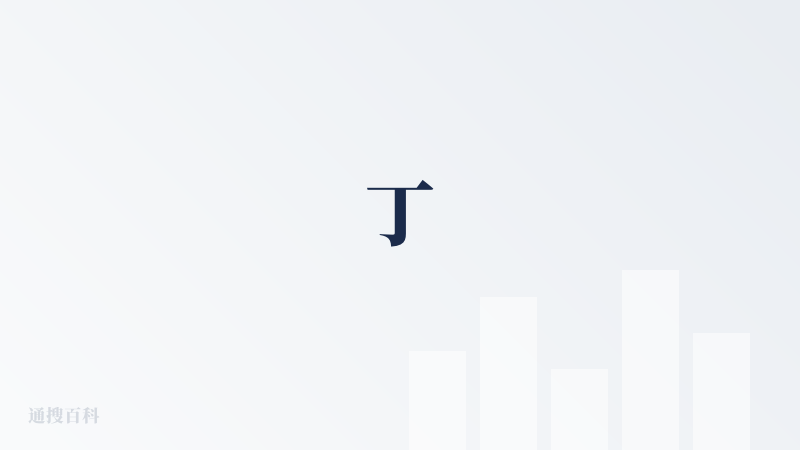 丁