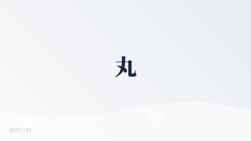 丸
