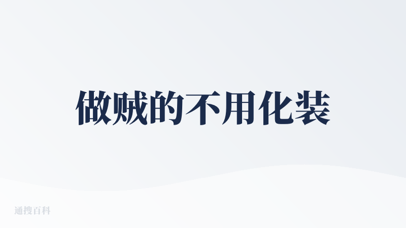 做贼的不用化装