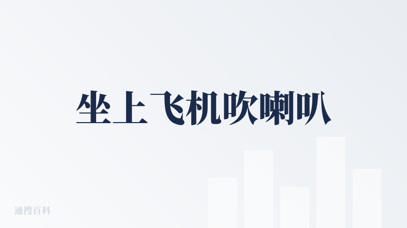 坐上飞机吹喇叭