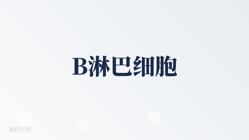B淋巴细胞