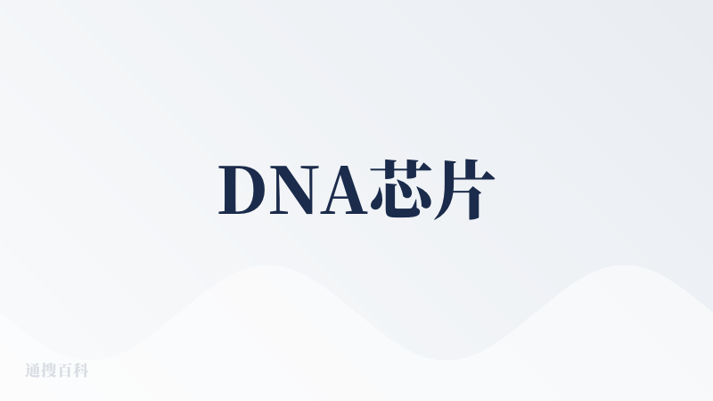 DNA芯片
