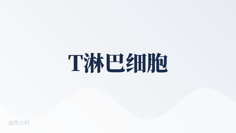 T淋巴细胞
