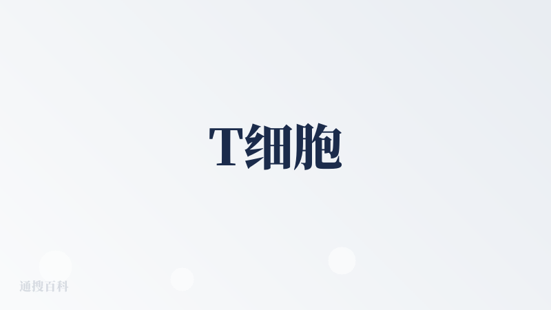 T细胞
