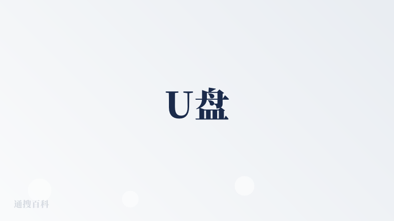 U盘