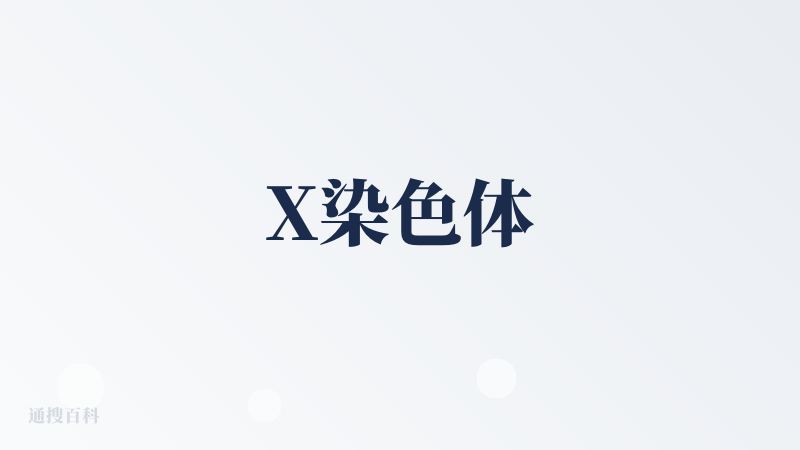 X染色体