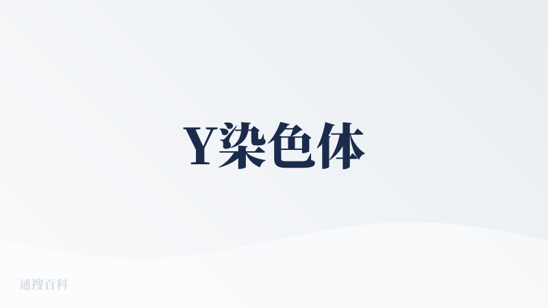 Y染色体